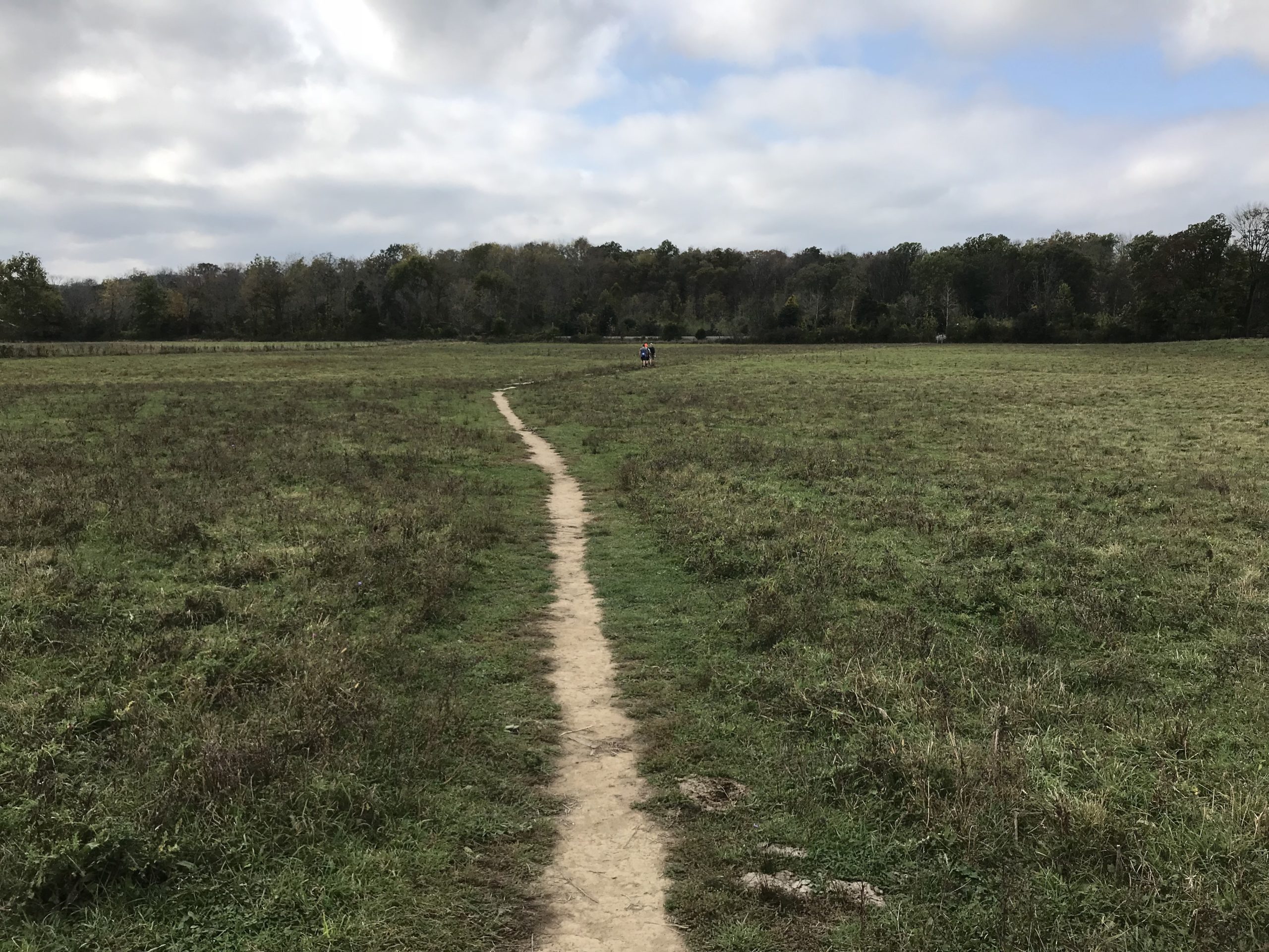 Appalachian Trail through a cow pasture