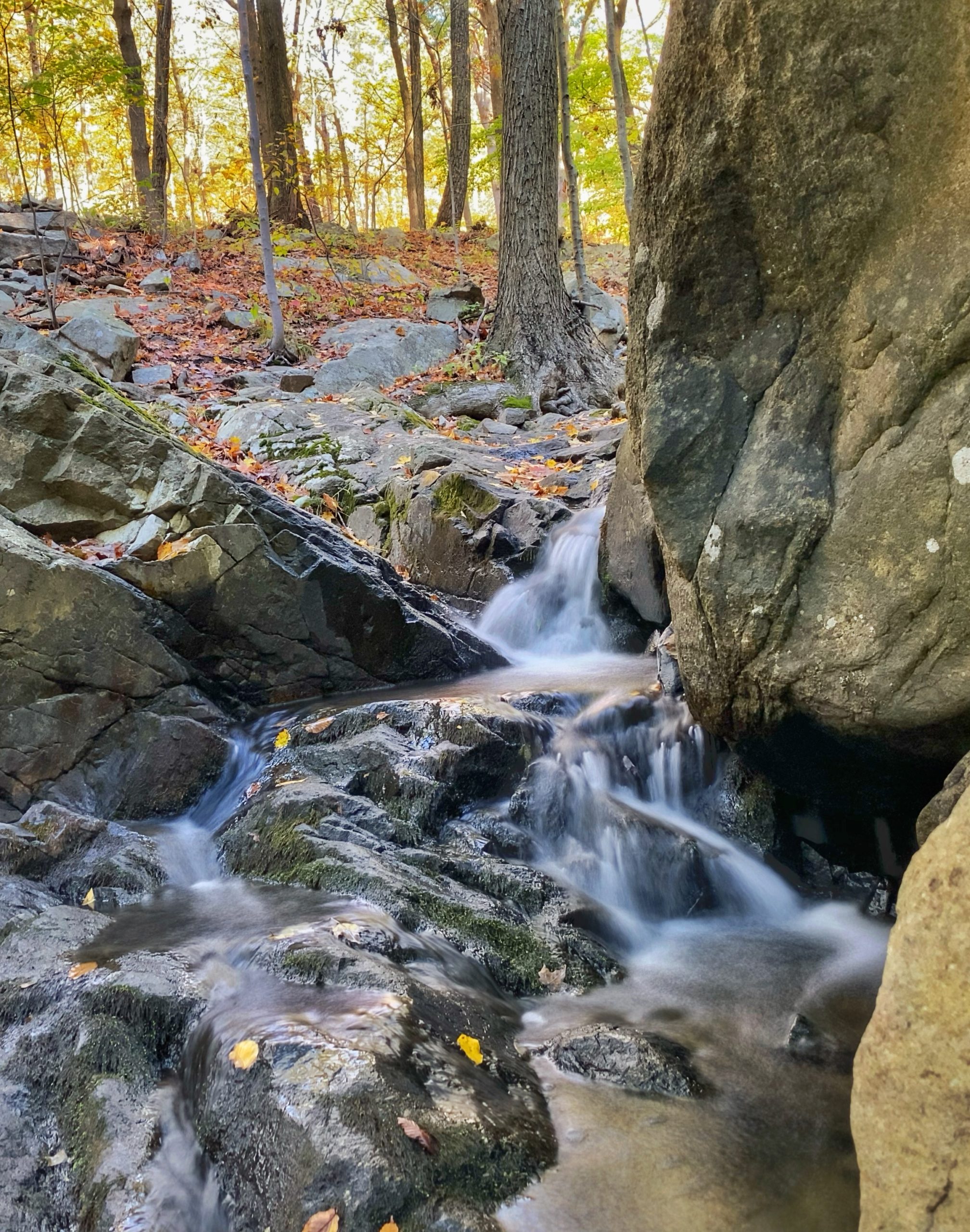 Bull Hill (mount Taurus) Loop - Hudson Highlands State Park Preserve 