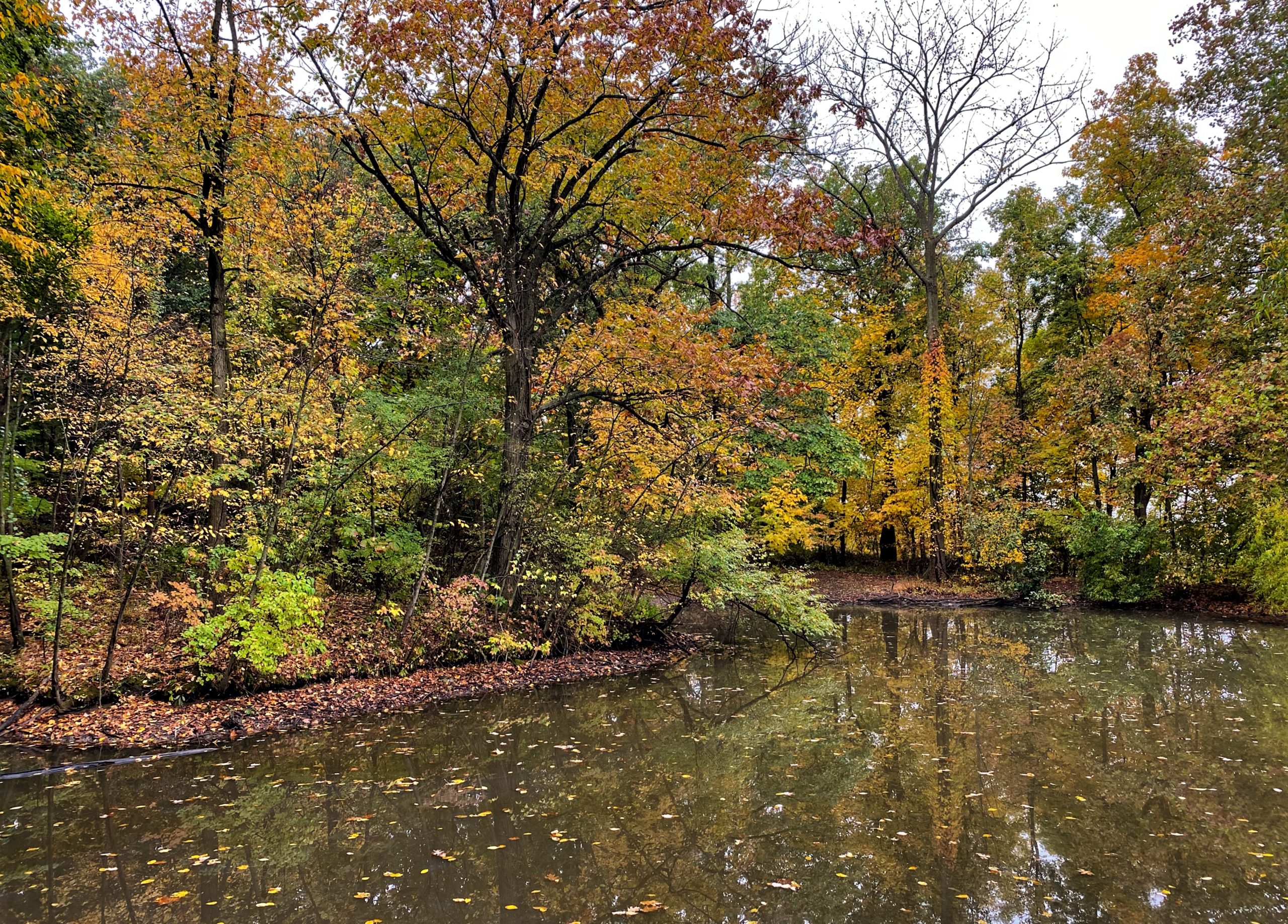 Flat Rock Brook Hike | Take a Hike!