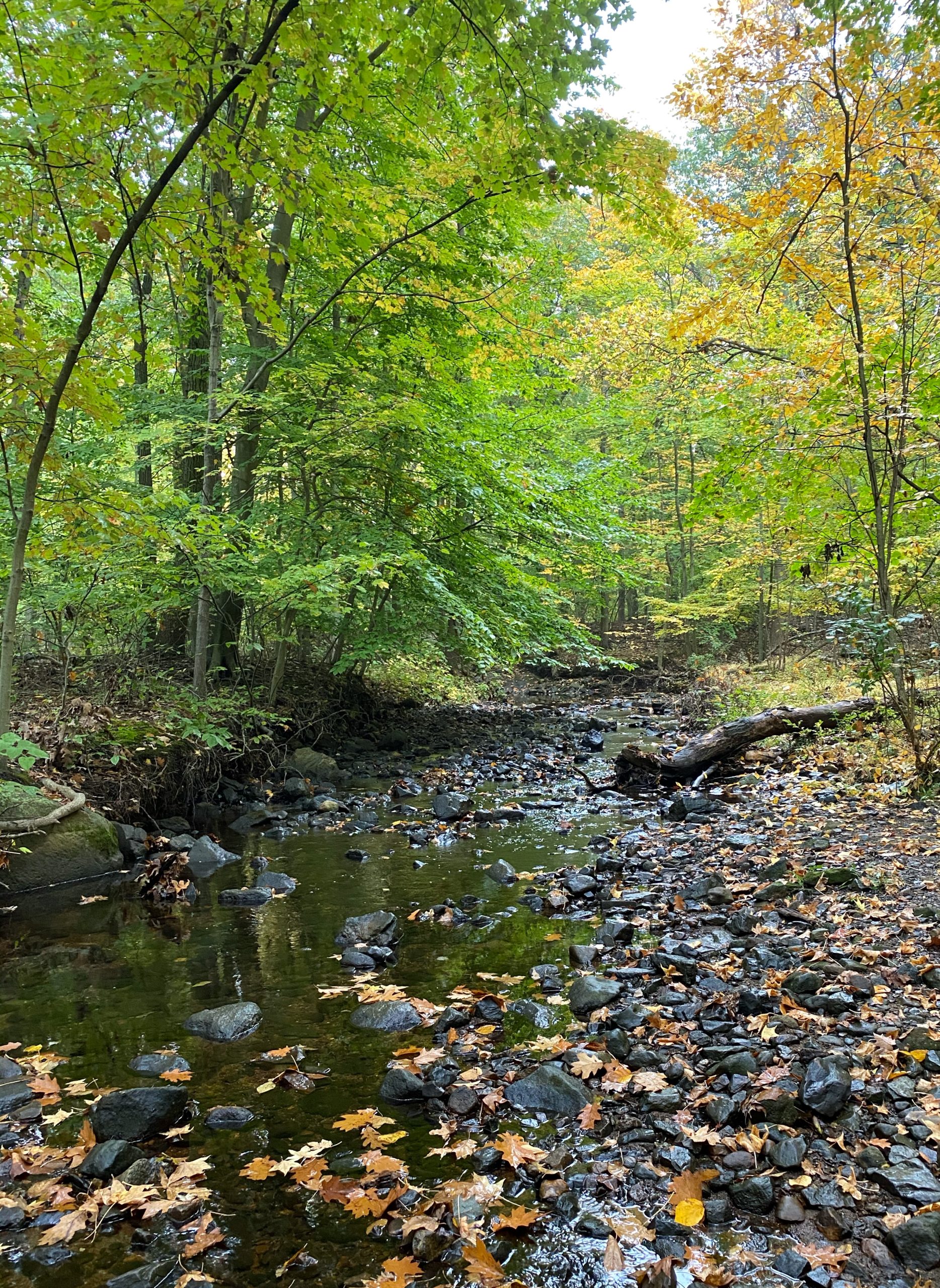 Flat Rock Brook Hike | Take a Hike!