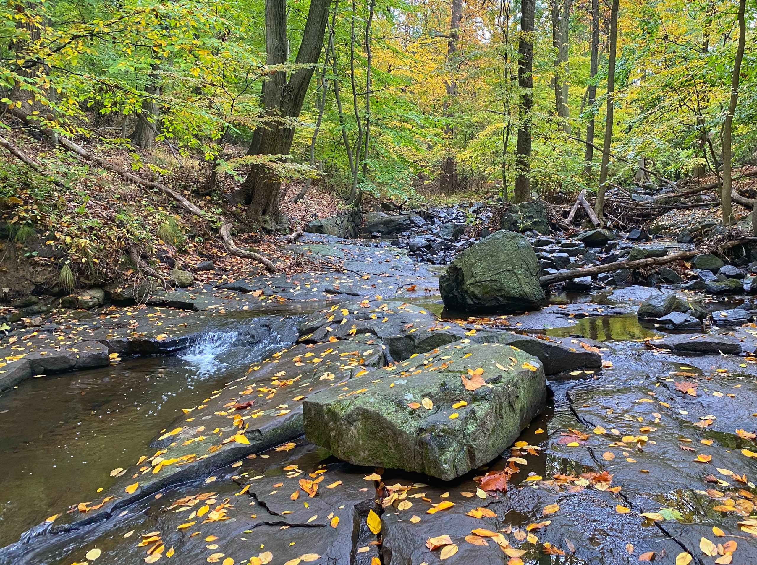 Flat Rock Brook Hike | Take a Hike!