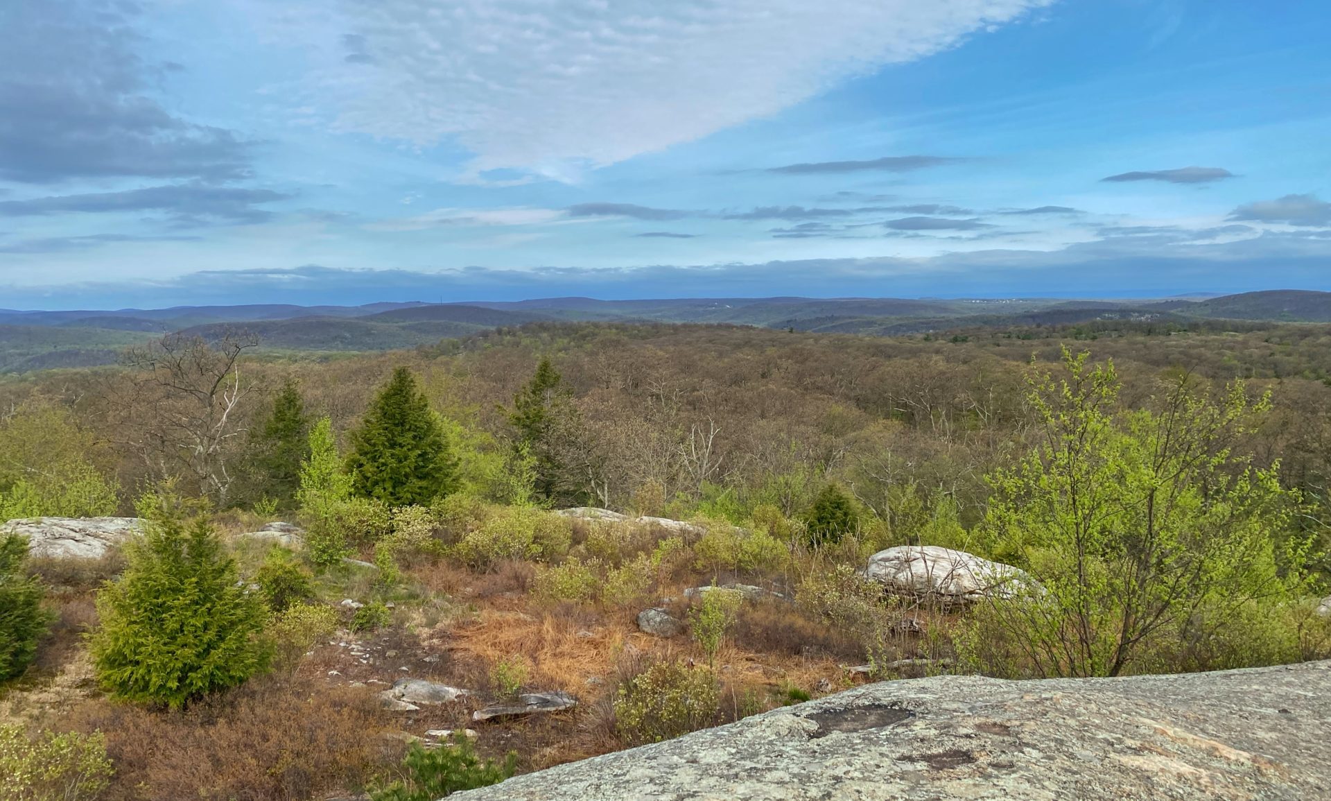 Bald Rocks & Hogencamp Mountain - Harriman State Park - Take a Hike!