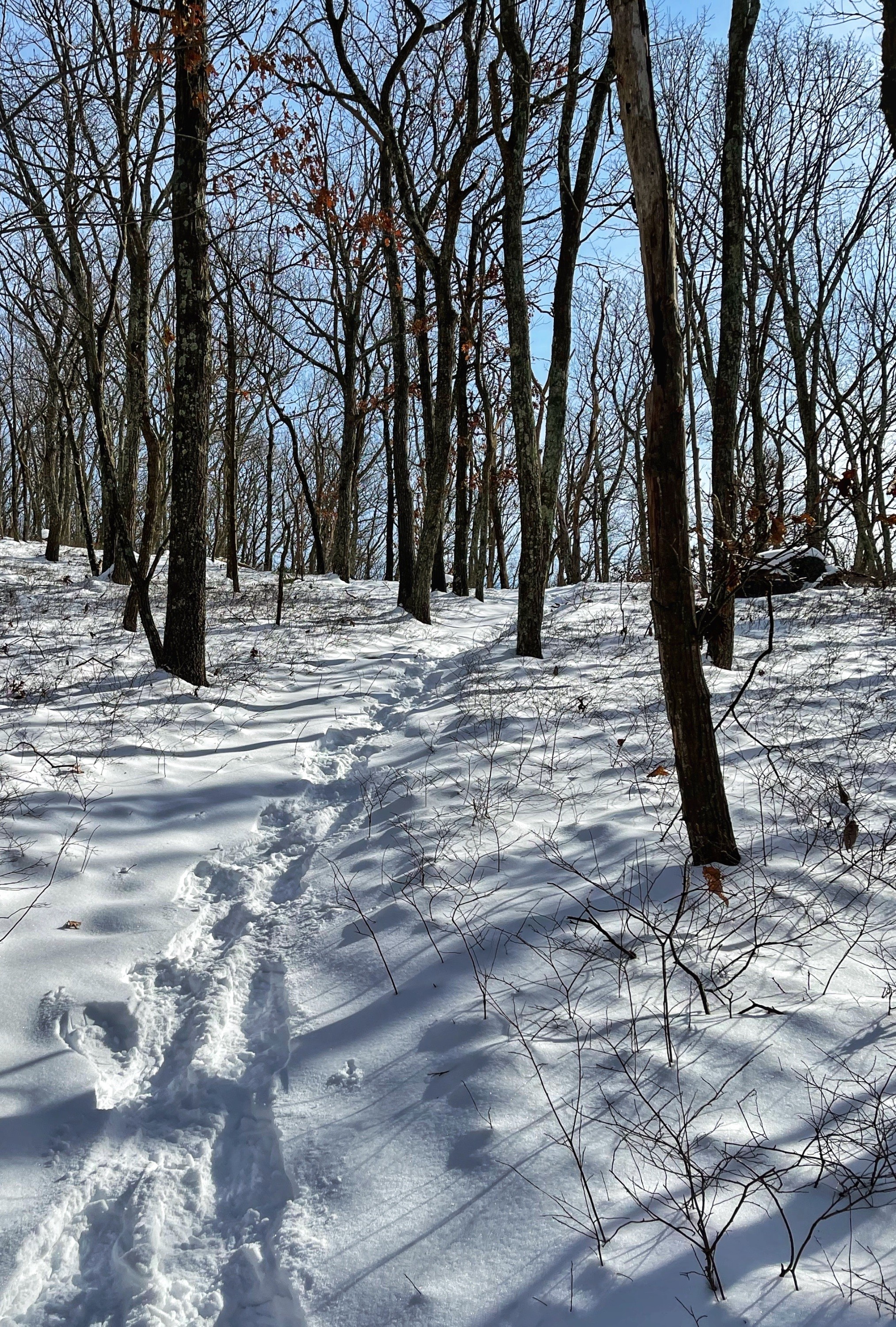 Kanouse Mountain - winter hiking