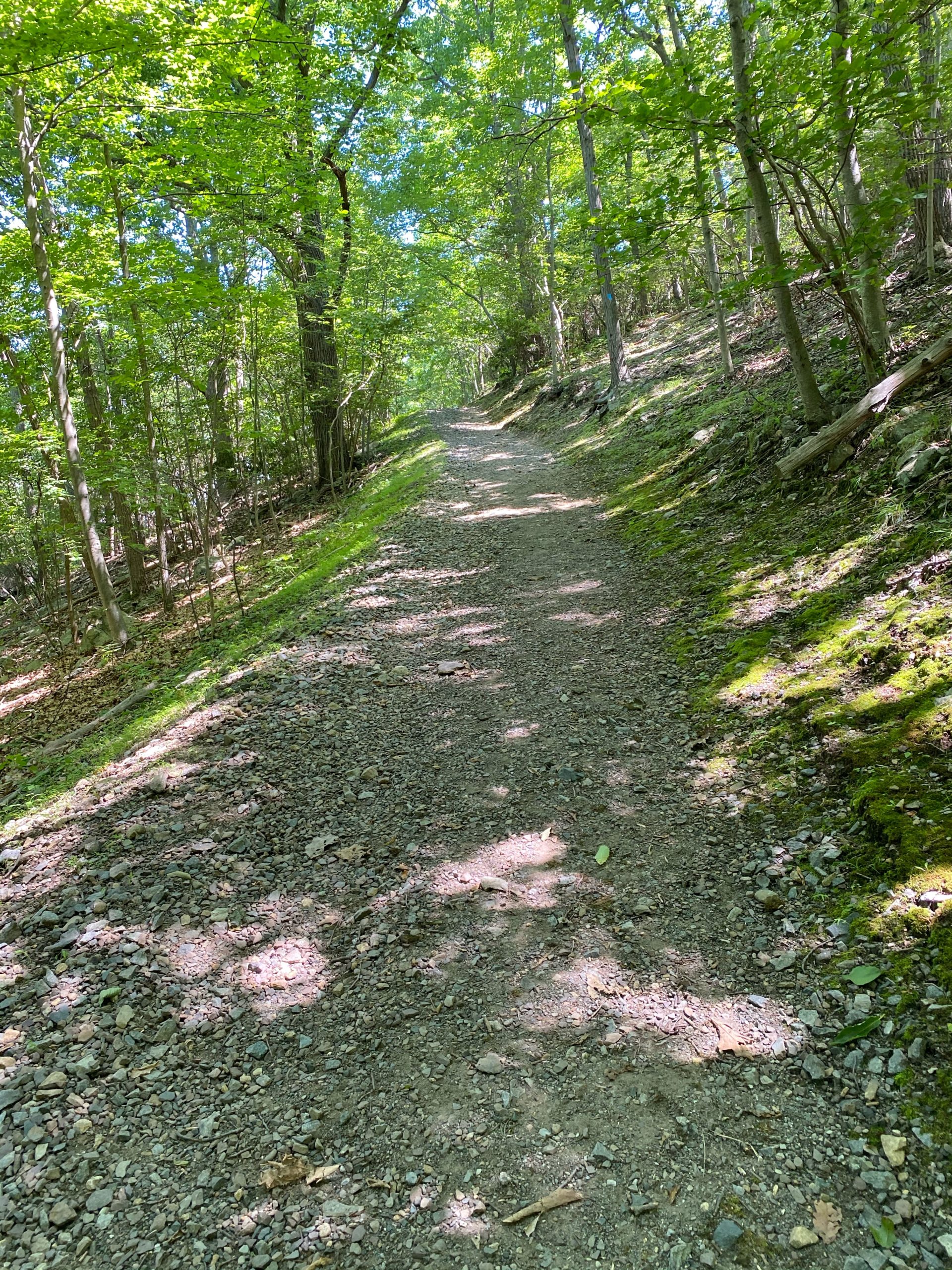 Blue trail
