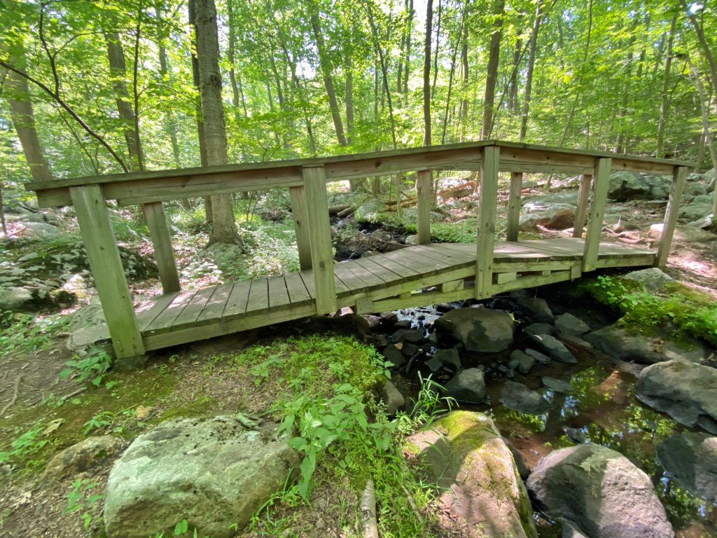 Bridge in Silas Condict County Park