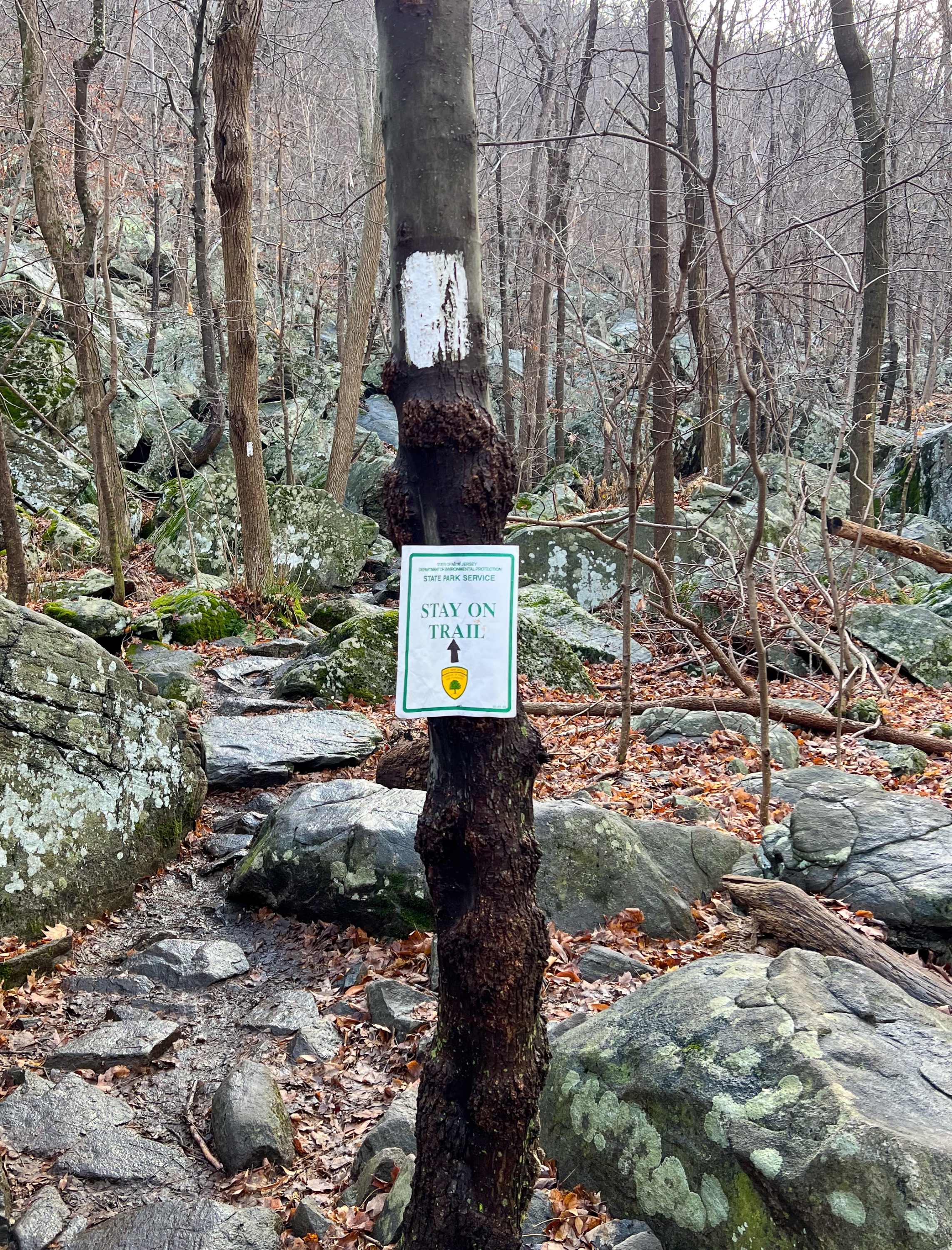 appalachian trail stairway to heaven