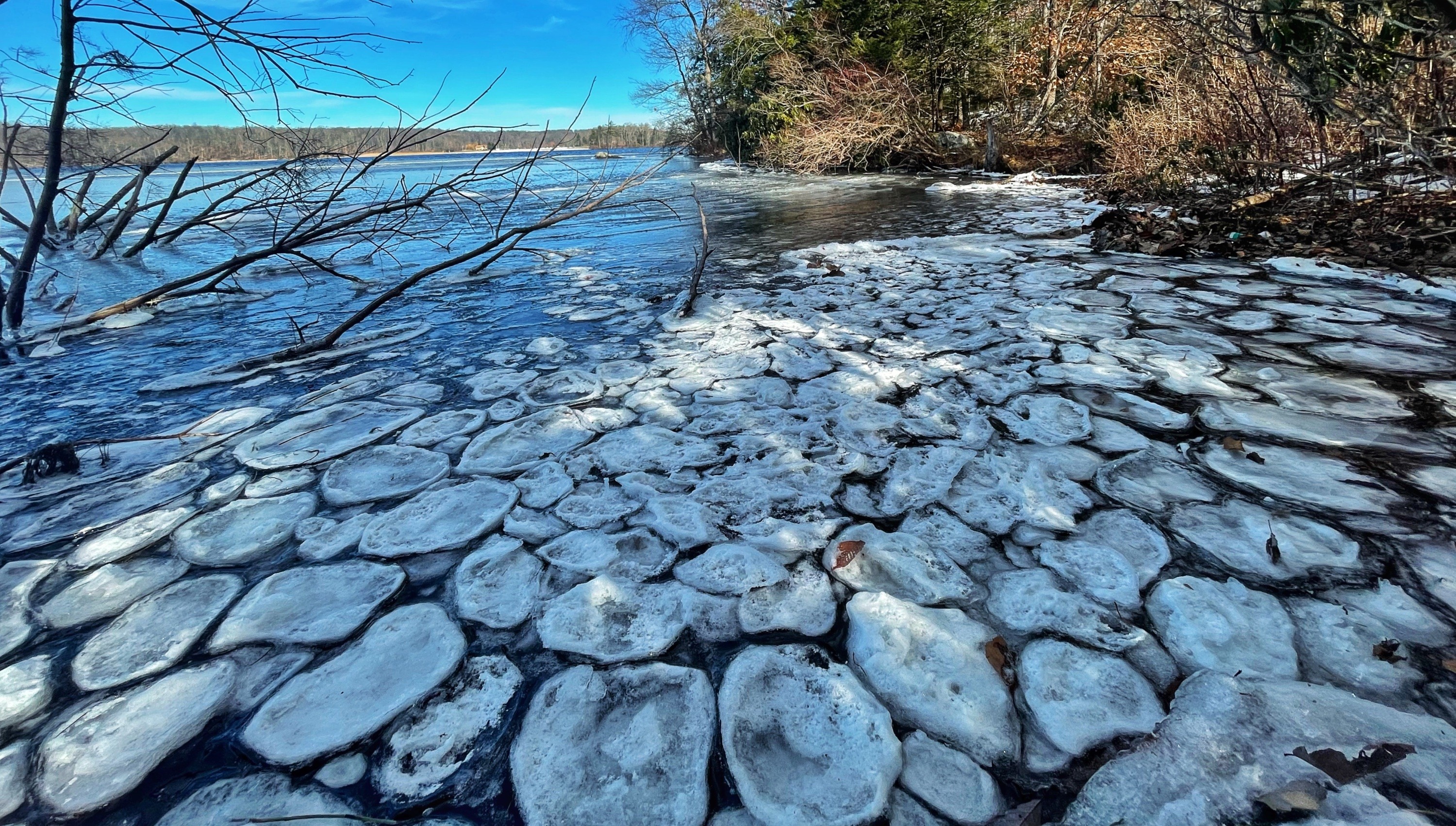Ice Circles in Wawayanda Lake