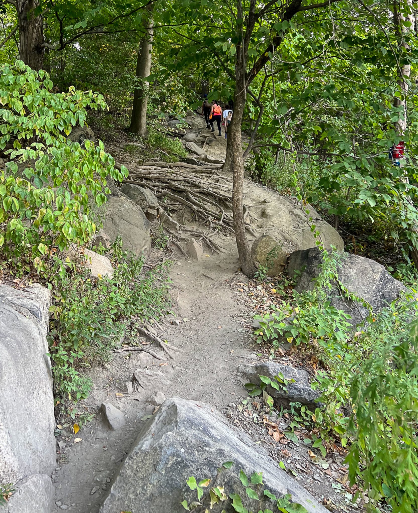 Breakneck Ridge - Hudson Highlands State Park Preserve - Take a Hike!