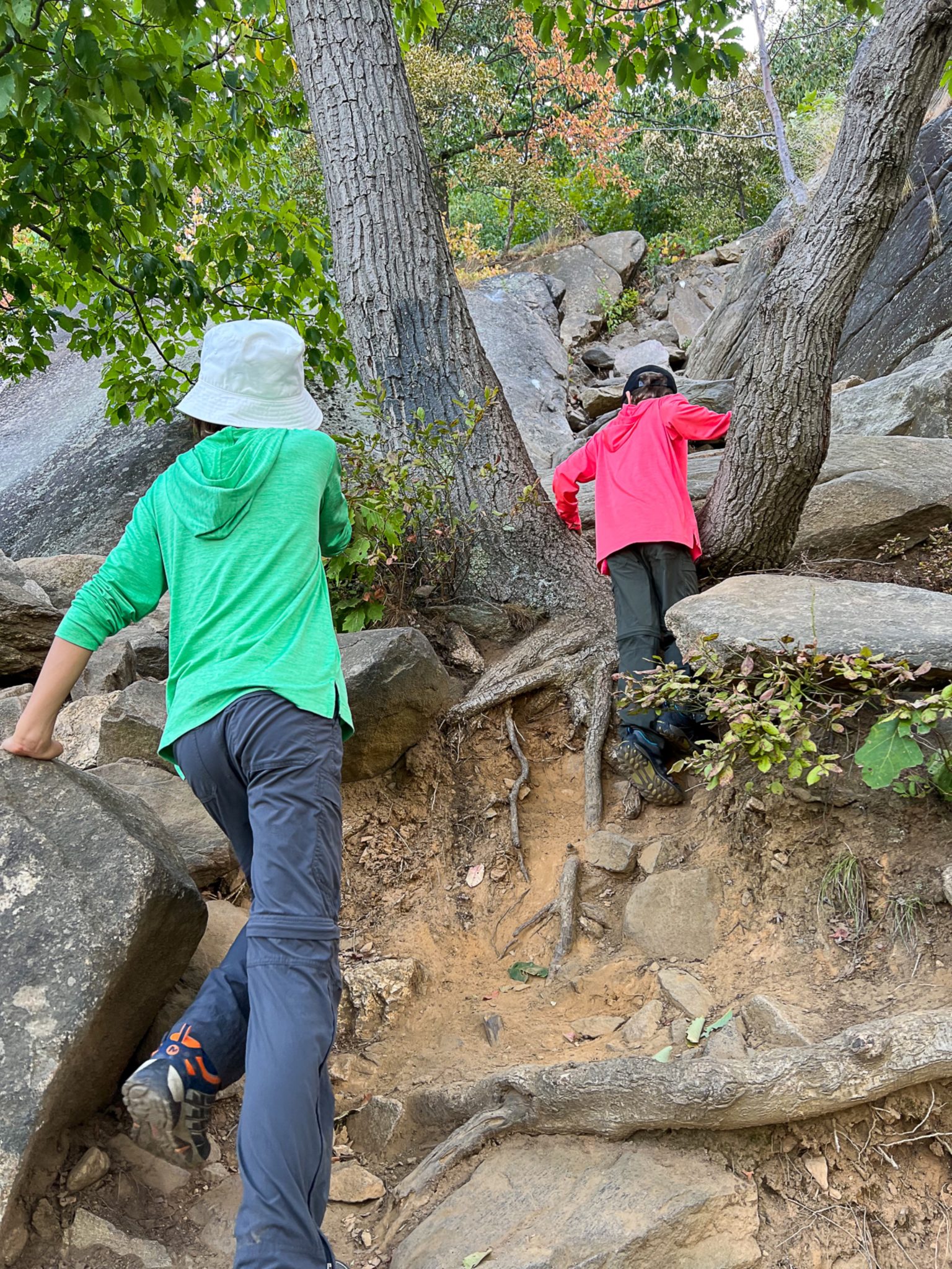 Breakneck Ridge - Hudson Highlands State Park Preserve - Take a Hike!