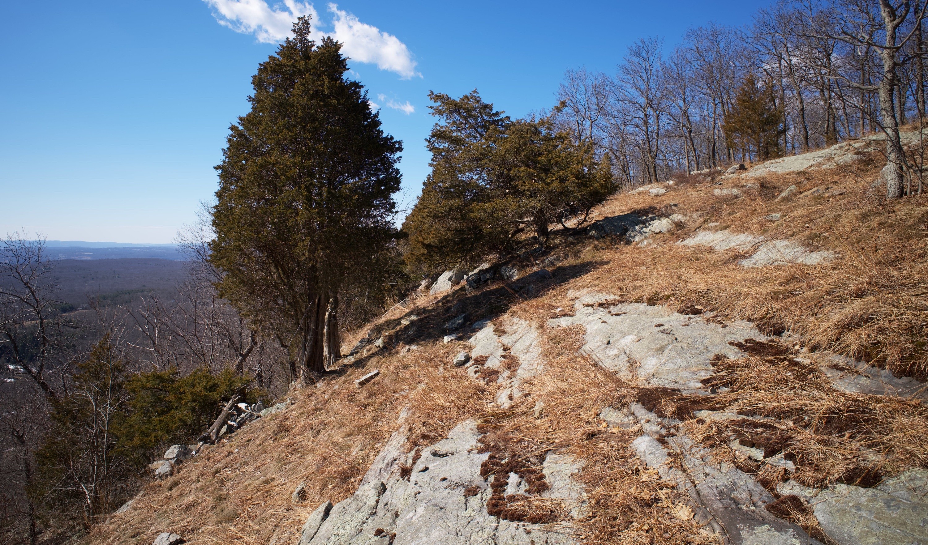 Catfish Mountain - Appalachian Trail