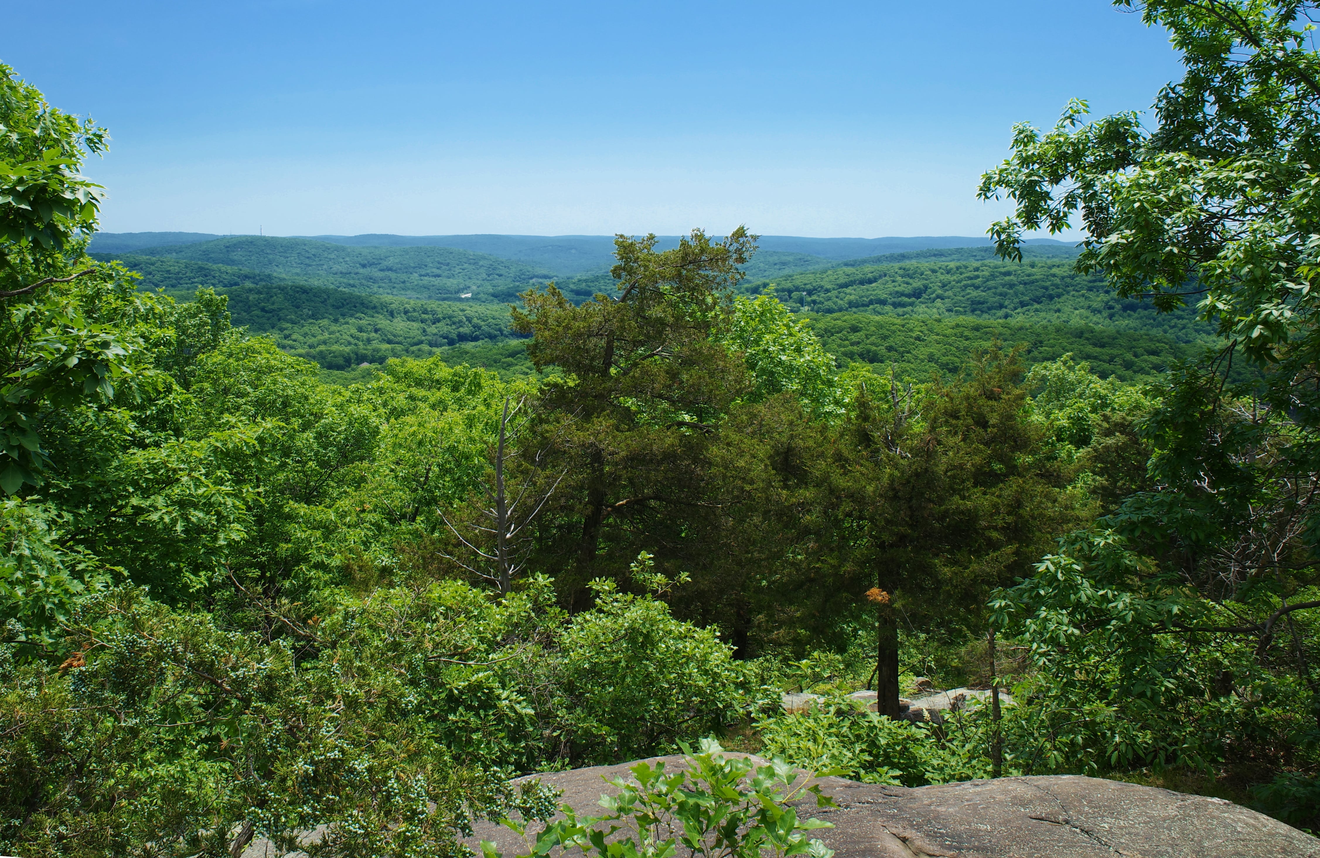 Doris Duke Trail viewpoint