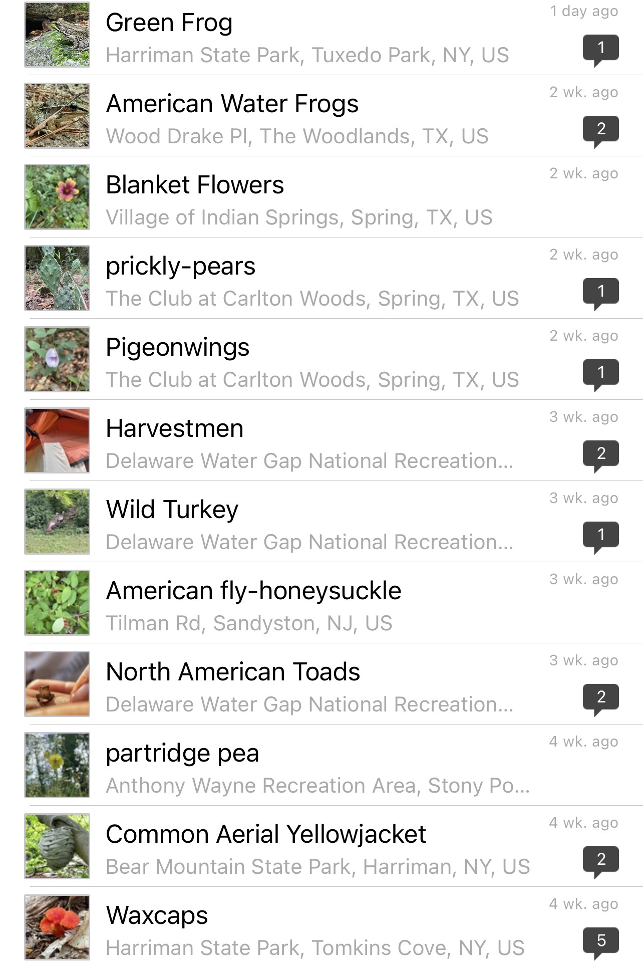 iNaturalist - one of the best hiking apps for learning 