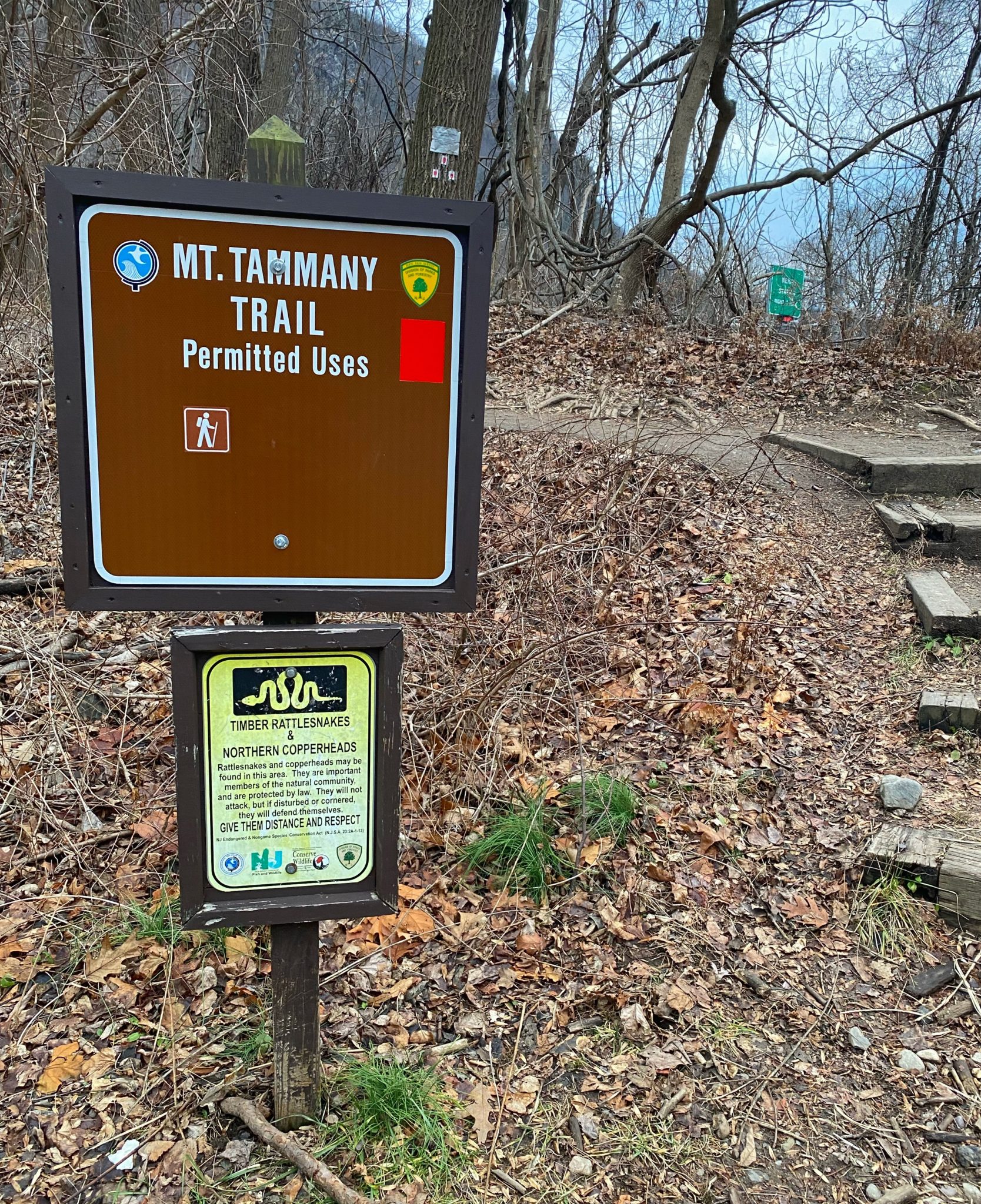 Mt. Tammany & Sunfish Pond Loop Delaware Water Gap Take a Hike!