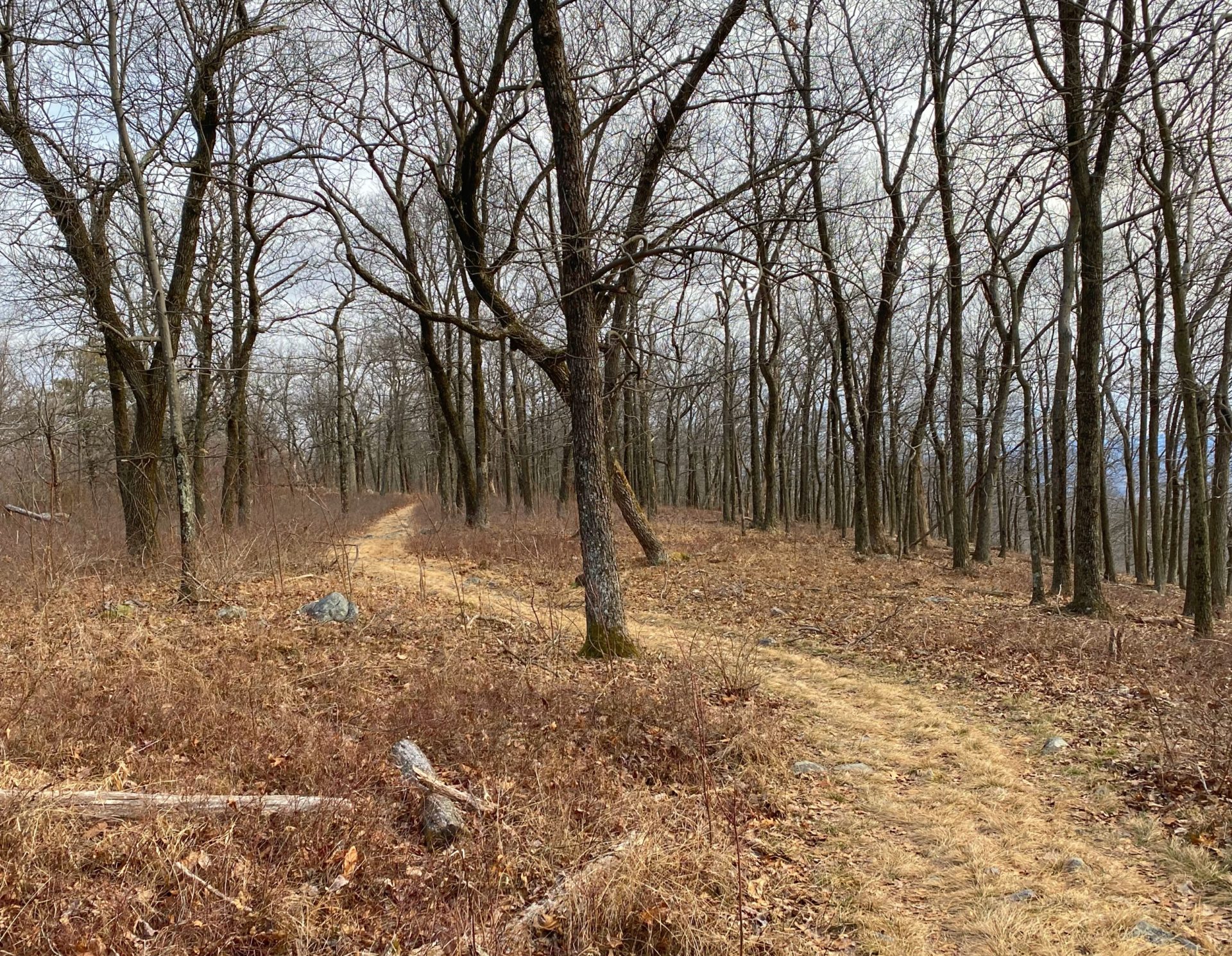 Mt. Tammany & Sunfish Pond Loop Delaware Water Gap Take a Hike!