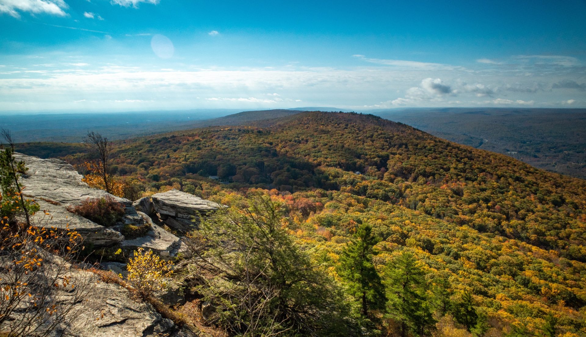 Bear Hill Preserve & Grapefruit Squeeze | Take a Hike!